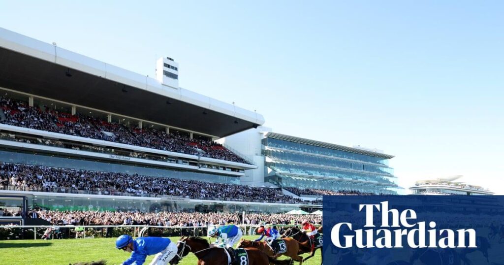 Federal MPs accept free sport tickets from gambling companies amid calls to restrict wagering ads