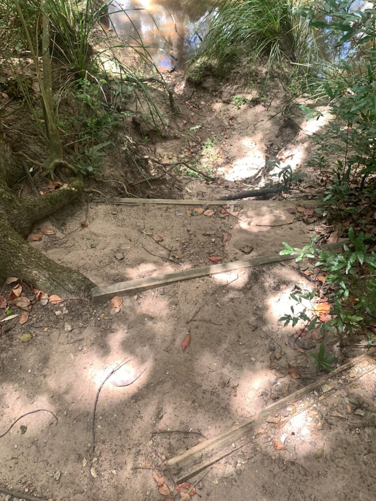 Old trail at Broadwater park near Mansfield?