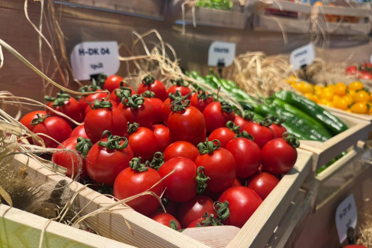 Tomatoes are displayed in wooden crates alongside peppers and other produce at Growtech Antalya Fair, Antalya, Türkiye. (AA Photo)