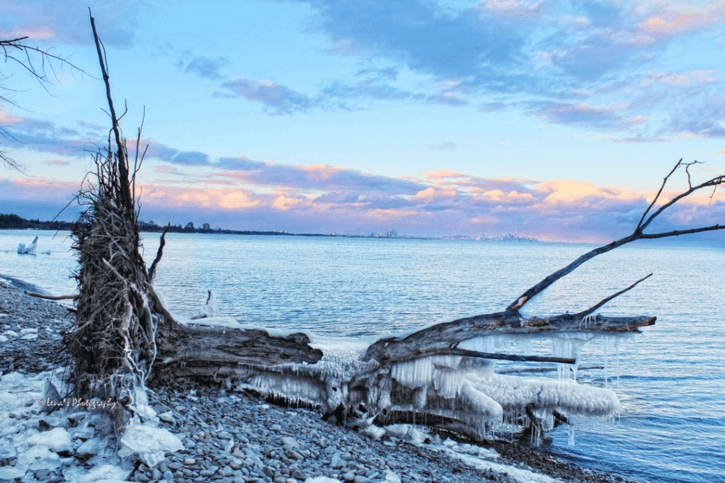 Ice sculptures at Jack Darling Memorial Park, Canada
