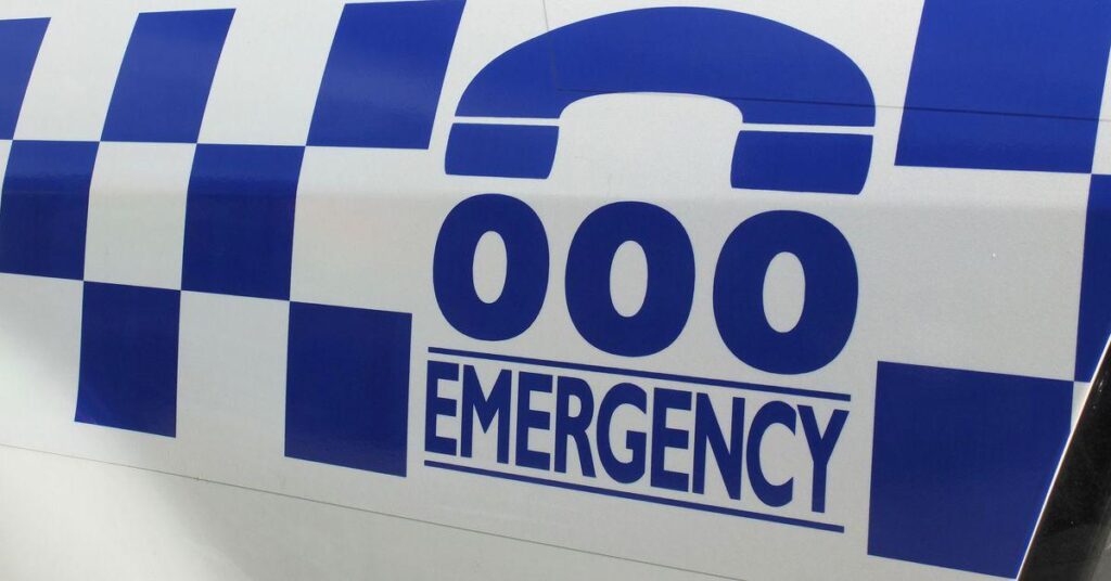 Two charged as police seek to crack 'Coconut Cartel' in Sydney