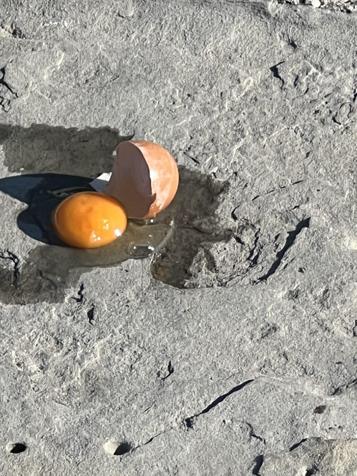 Eggs at the customs pier in Izola
