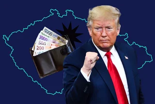 Shutterstock by Evan El-Amin, Michal Bellan