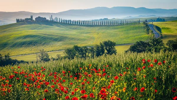 The best places to see flowers in Europe