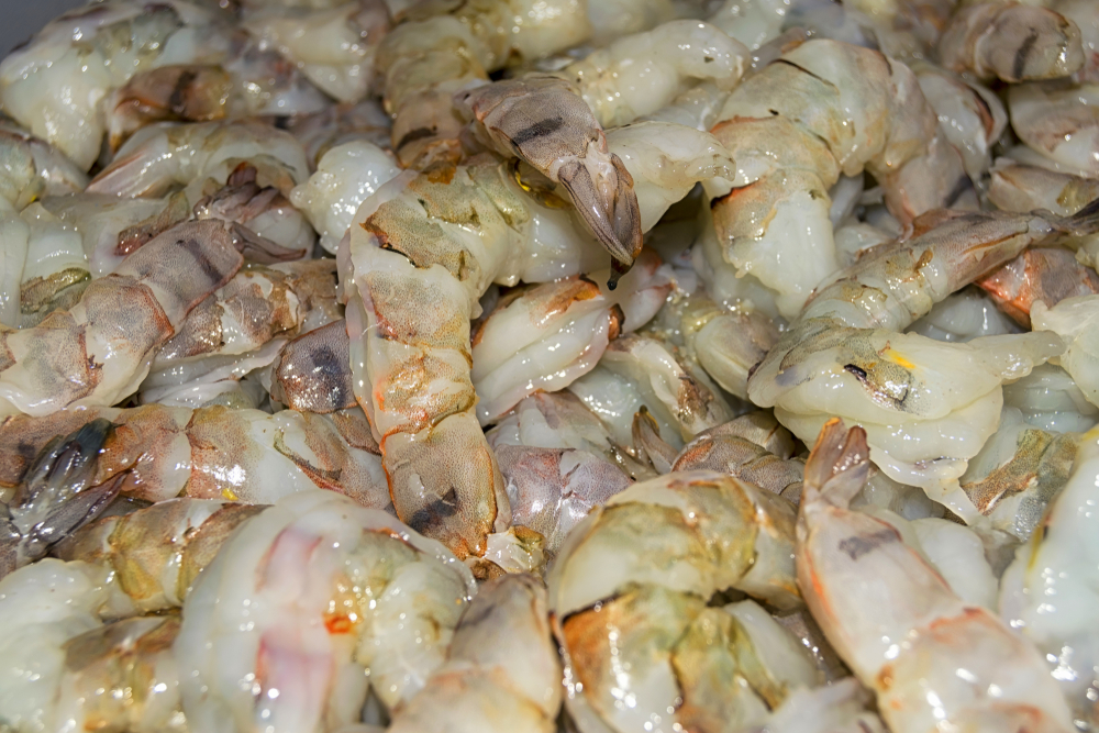 Russia Targets Growth in Shrimp Imports and Production