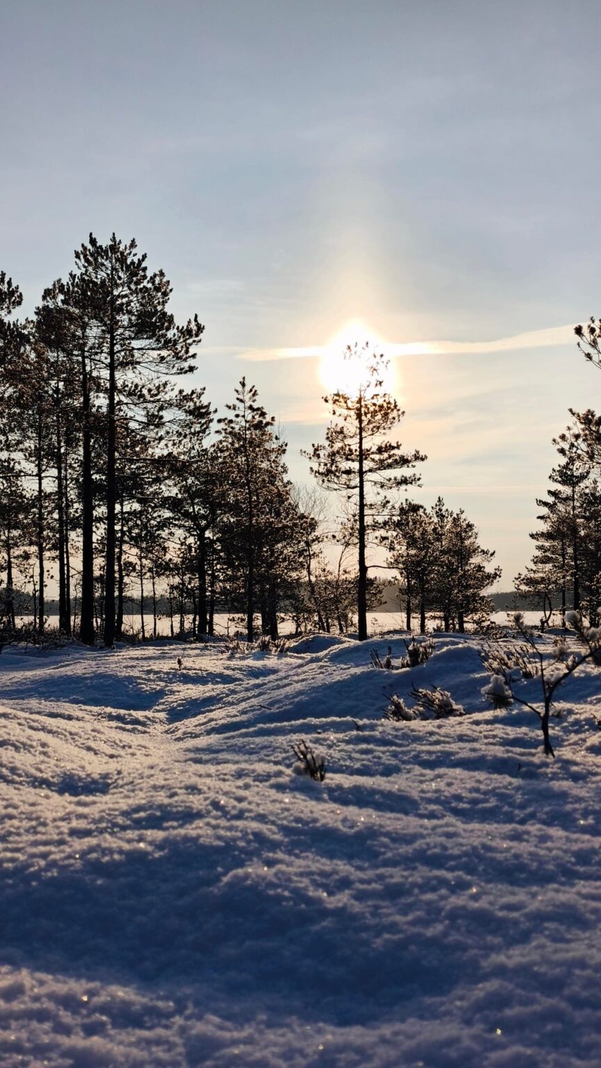 Kurjenrahka National Park