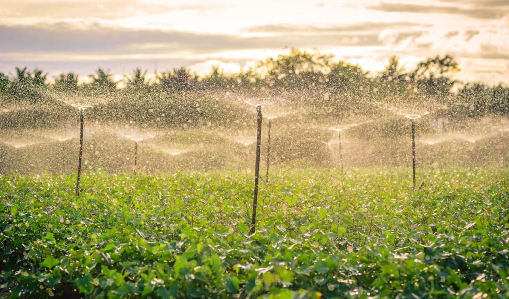 Seven new irrigation systems to be built in Moldova in 2026
