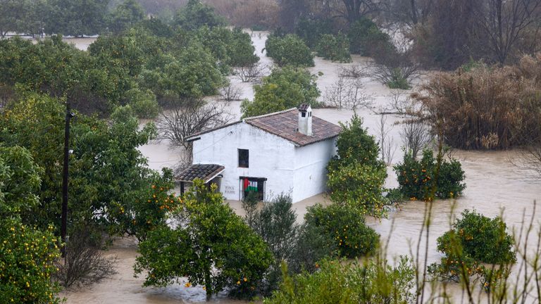 Pic: Reuters
