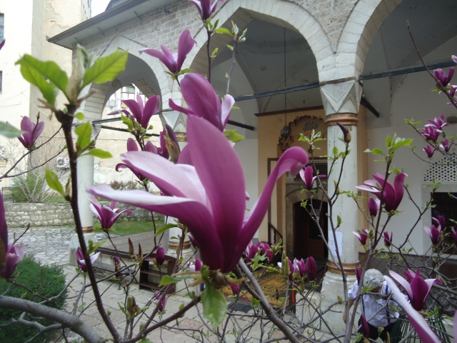 Temperature Swings Across Bosnia and Herzegovina