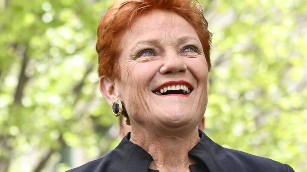 Pauline Hanson offers to form a Coalition government with the Liberals and Nationals Pauline Hanson offers to form a Coalition government with the Liberals and Nationals
