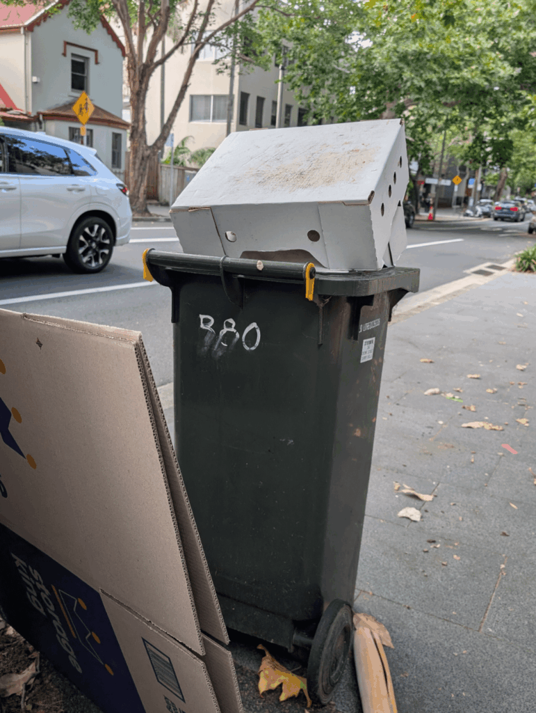 Wheelie bin looks pretty upset it has lost its lid