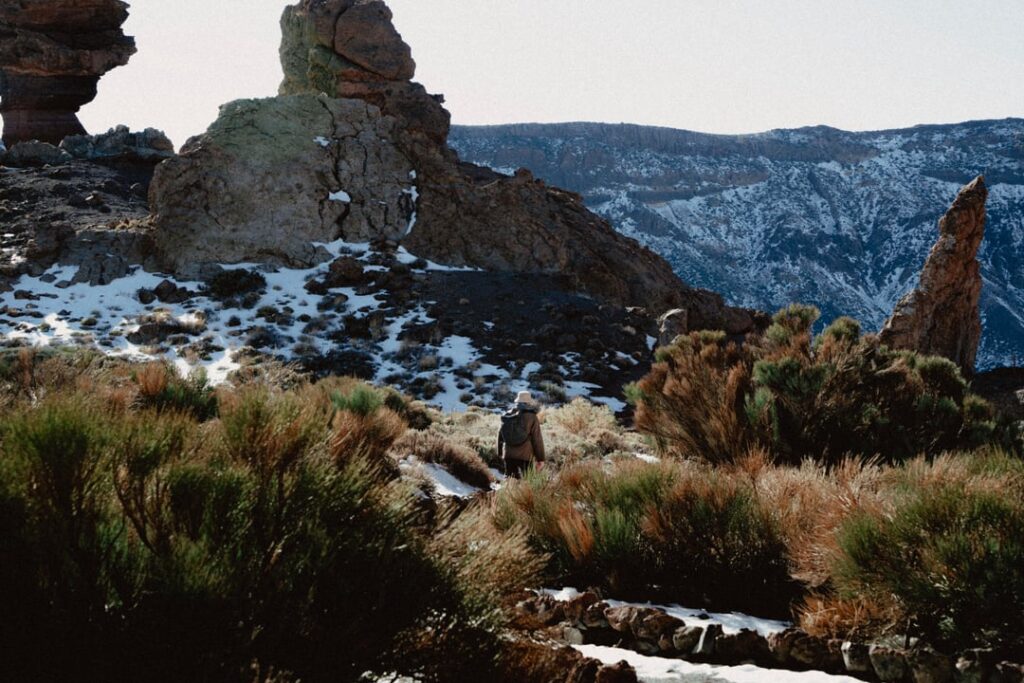 Teide national park 🇮🇨
