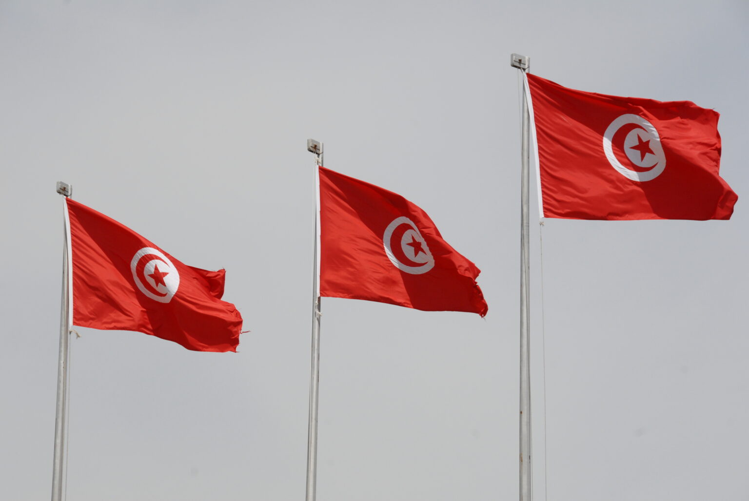 Egypt, Tunisia explore closer parl't cooperation