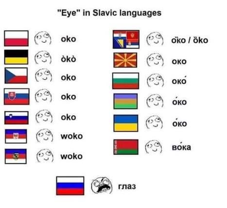 eye