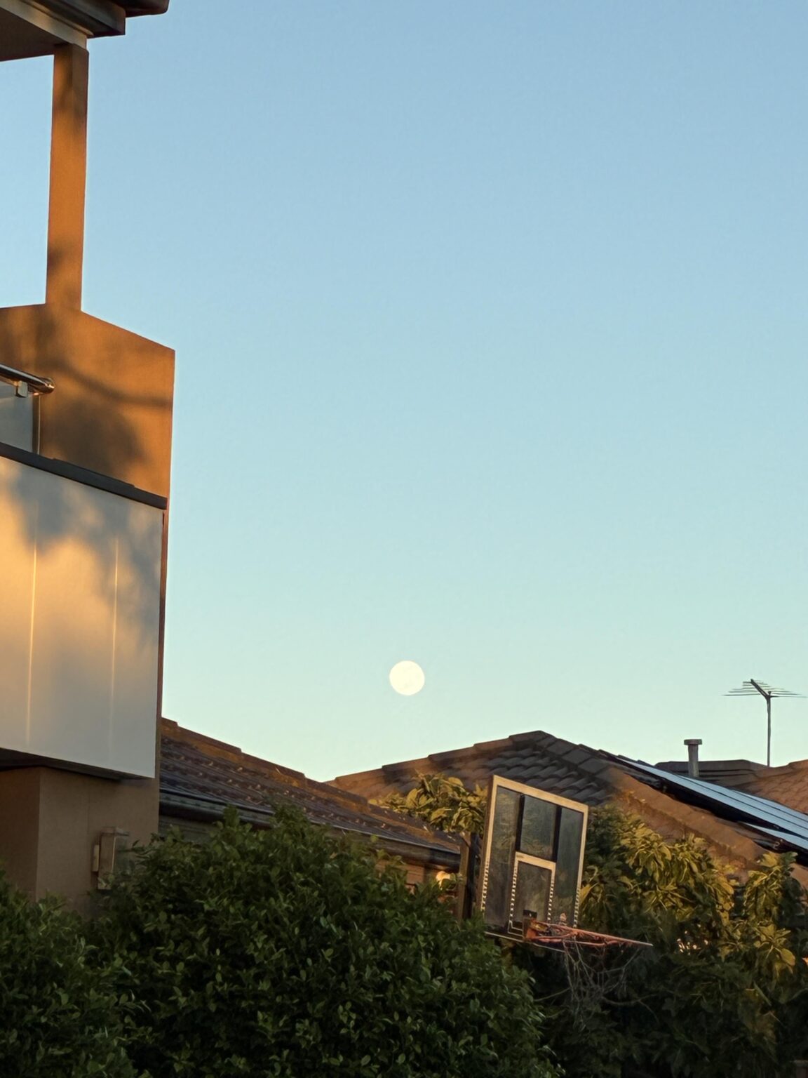 Last night’s moon in the Northern Suburbs!