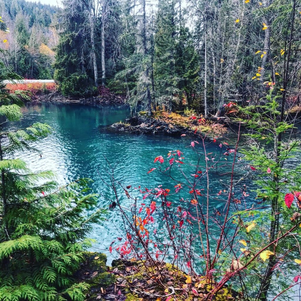 Beauty of the north.