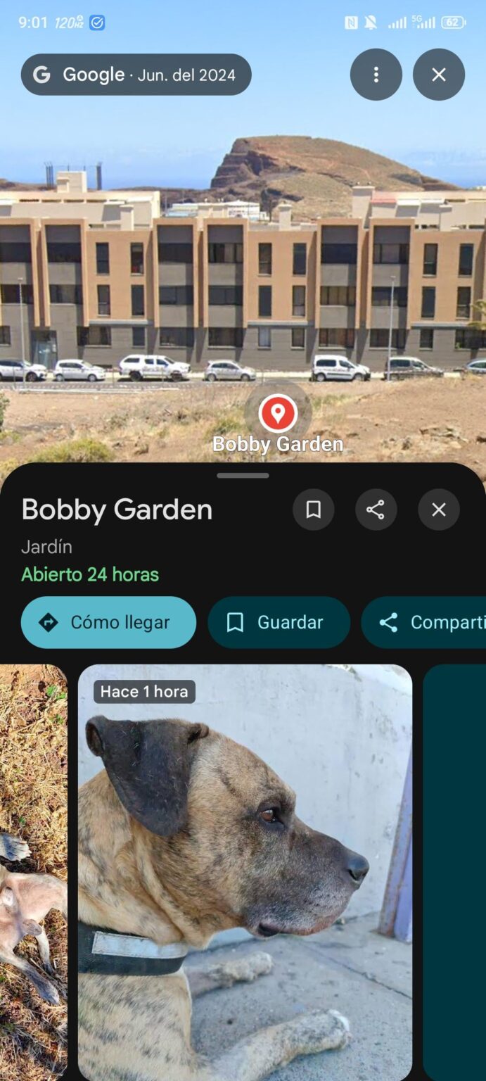 Now my dog ​​is a place on Google maps