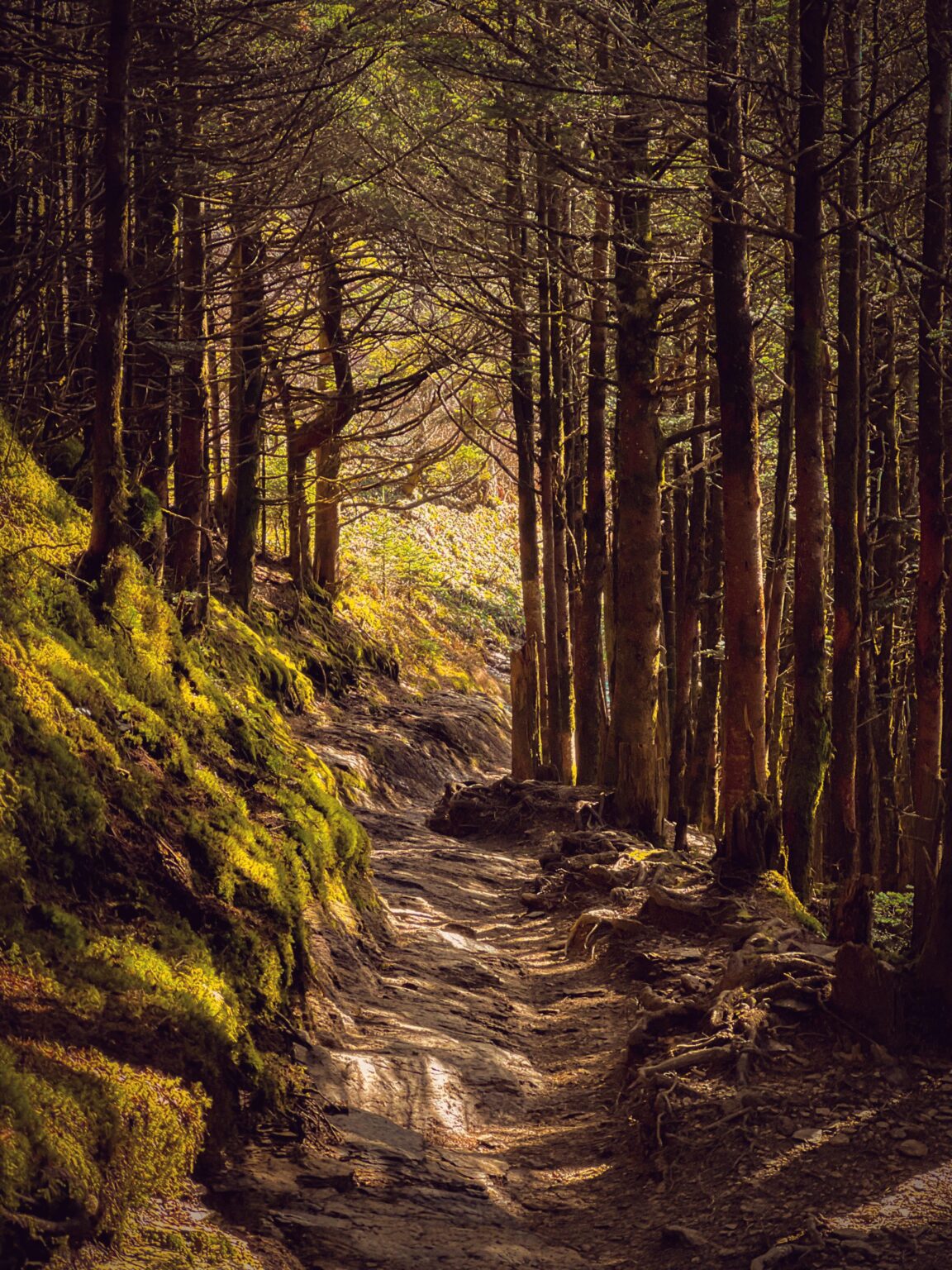 … that happy feeling ݁ ˖𓂃.↟𖠰˚⋆