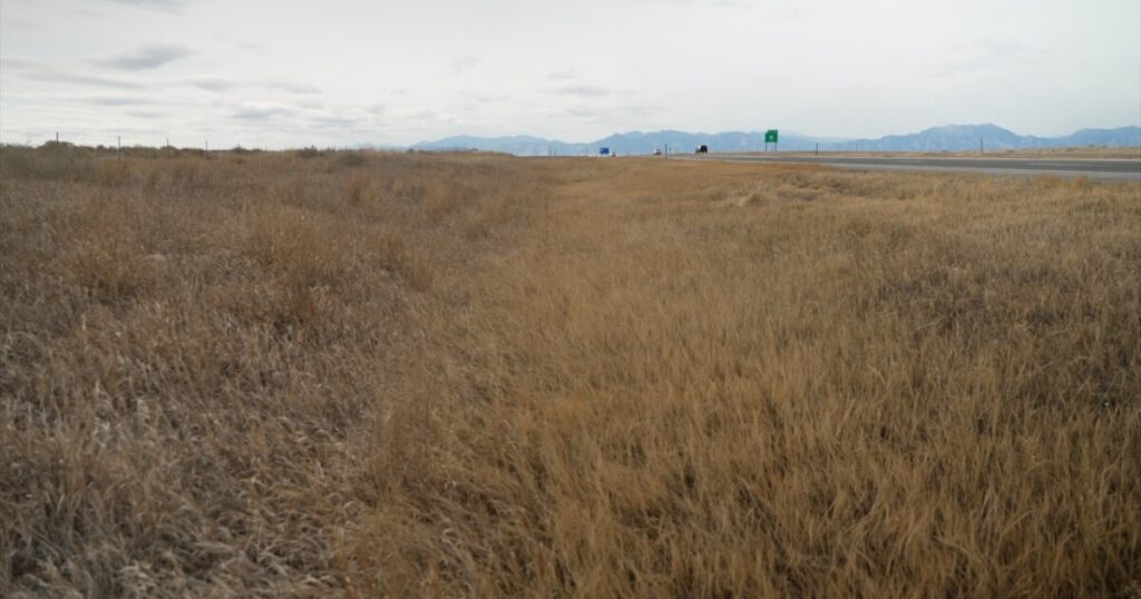 One-mile pollinator corridor planned along Northwest Parkway