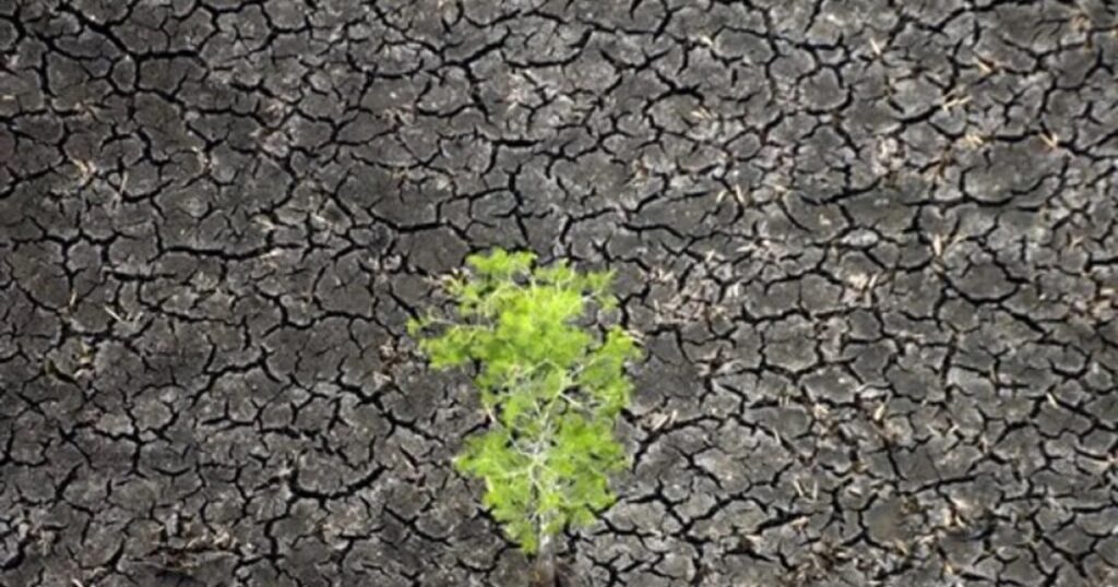 Water shortage warnings issued for Miami-Dade and the Keys