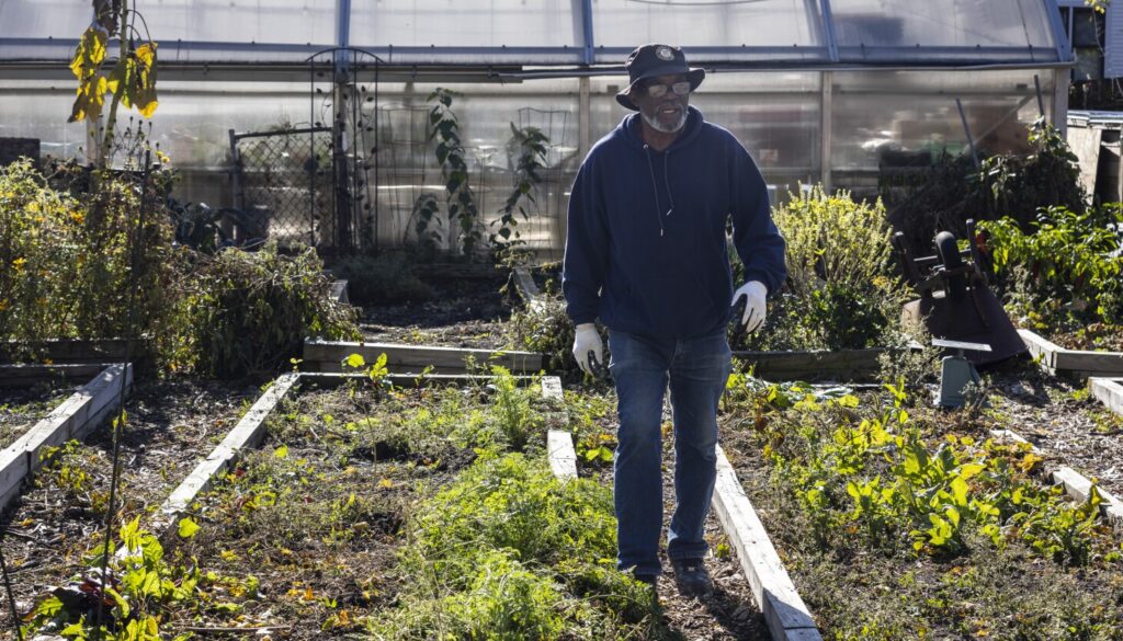 Growing healthy food to narrow Chicago's 20-year life expectancy gap: ‘If we eat better, we do better’