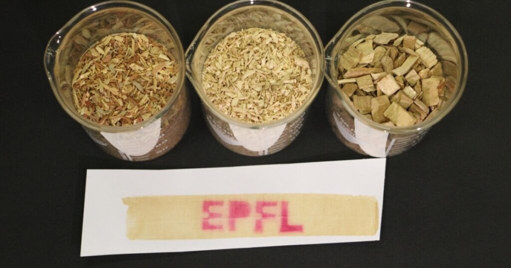 Eco friendly thermal paper made with wood Eco friendly thermal paper made with wood