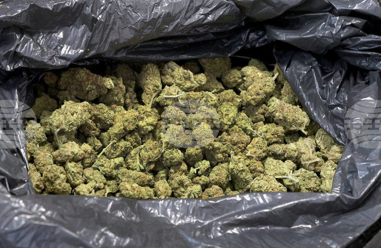 Politicians in Skopje React to Scandal with Serbia-Seized Marijuana from North Macedonia