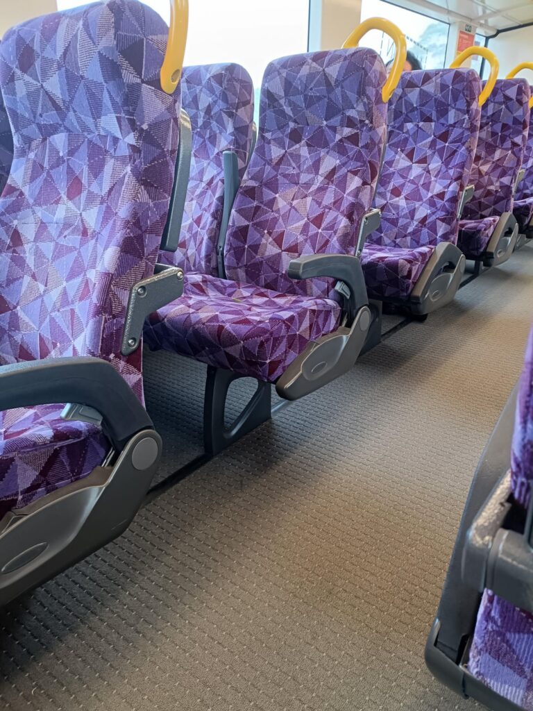 Mantis on the train