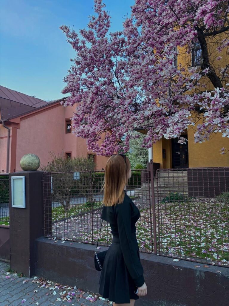 Enjoying blooming trees