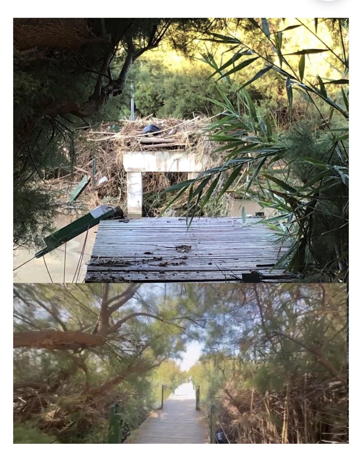 Petition to rebuild the Foix delta bridge in Cubelles (Catalonia)