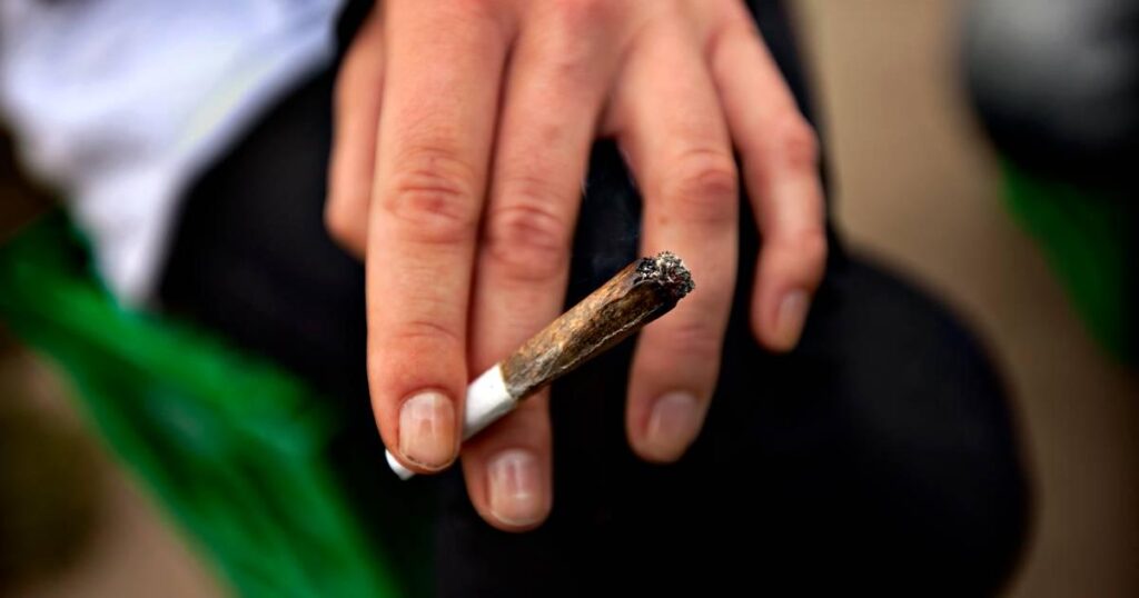 I don't like the smell of cannabis - but I don't like the ban even less - Cannabis is not healthy. But when the ban both weakens freedom and strengthens crime, it is worth asking what we are actually defending.