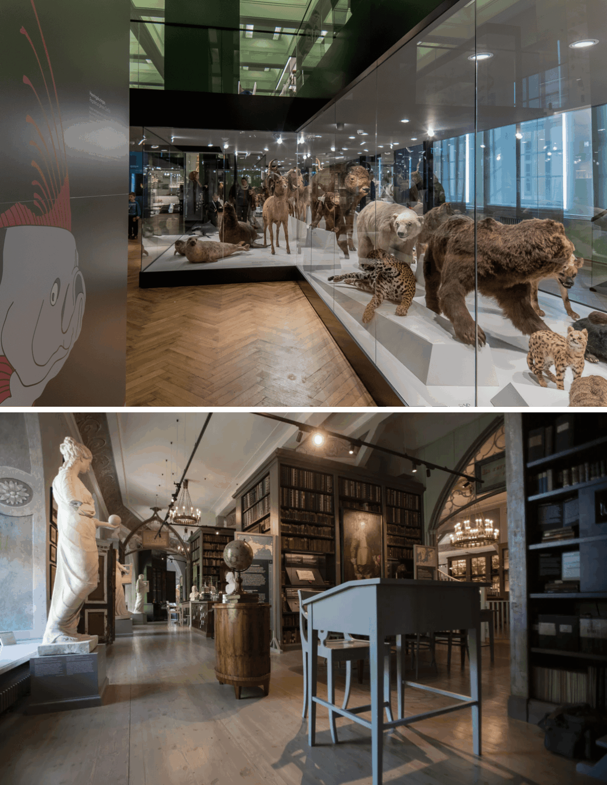 Favorite museums in Estonia? I myself have not been to those in other cities very much. Tartu likes the Natural History Museum of the University of Tartu (Vanemuise 46) and the University Museum (Toomkirikus) Favorite museums in Estonia? I myself have not been to those in other cities very much. Tartu likes the Natural History Museum of the University of Tartu (Vanemuise 46) and the University Museum (Toomkirikus)