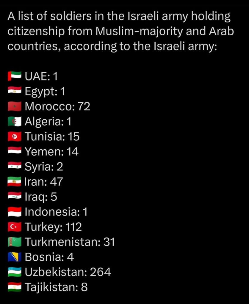 Four BiH citizens served in the IDF, what does BiH law say about that?