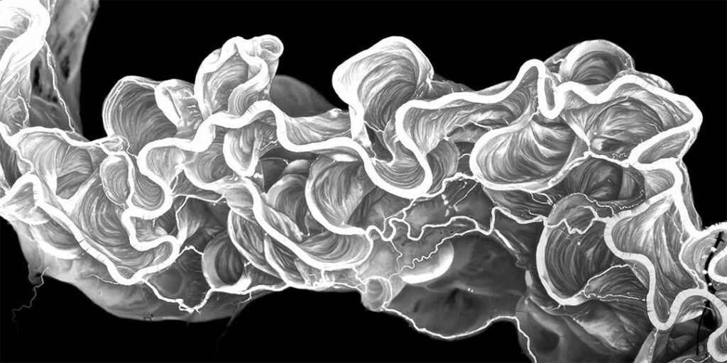 [OC] A Relative Elevation Model of a section of the Murray River in Australia.