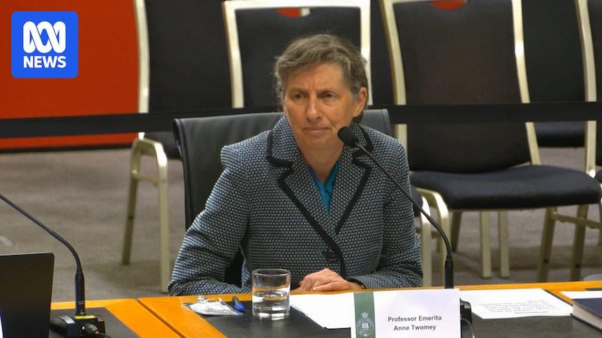 Hate laws put free speech at risk, constitutional expert tells NSW extremism inquiry