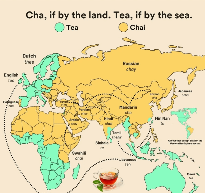 Chai vs tea