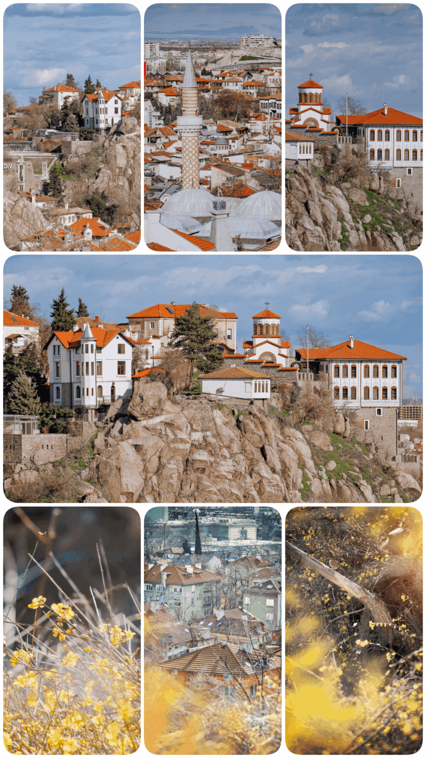 It starts to smell like spring in Plovdiv