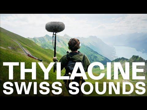 THYLACINE - The sounds of Switzerland