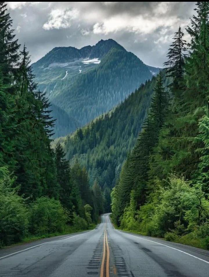 North Cascade highway view ❤️