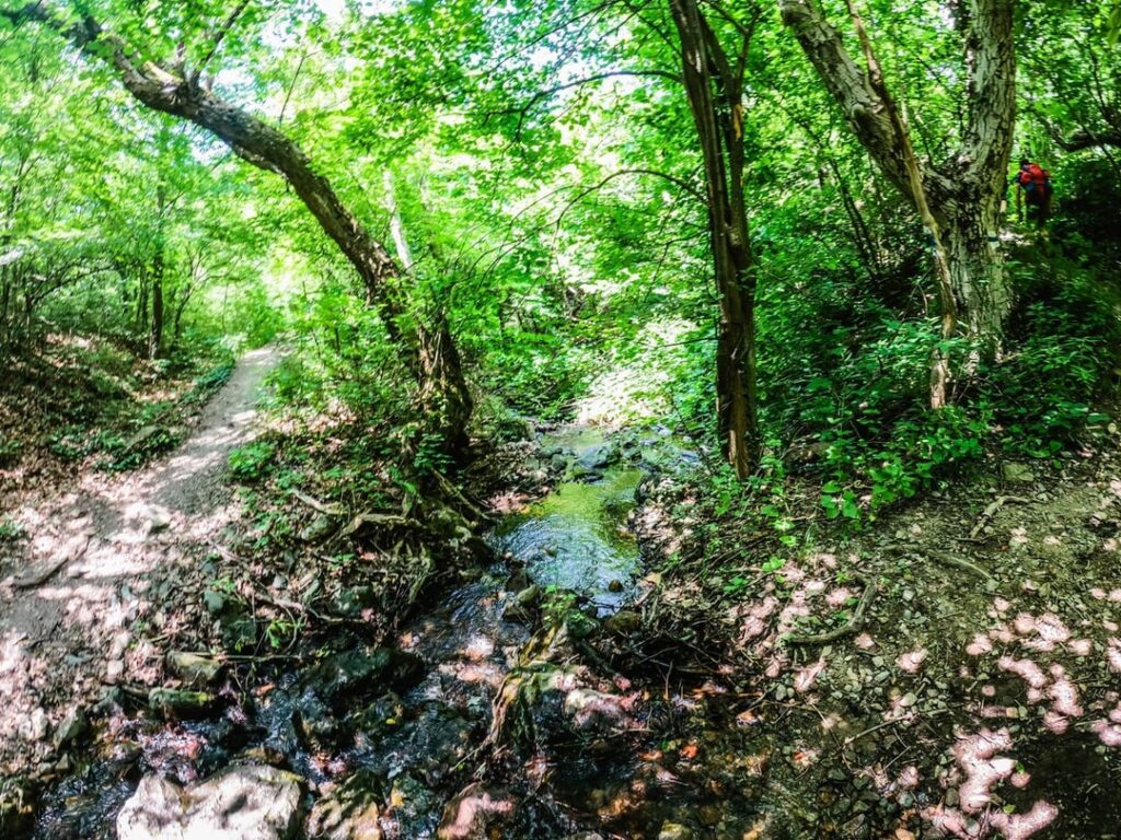 Along the path of "Blue Pond" and "The Secret Printing House" cave