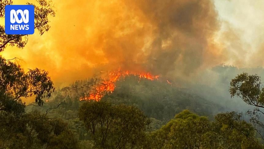 Roaring winds, dry country and rugged terrain: Why Victoria is prone to devastating bushfires