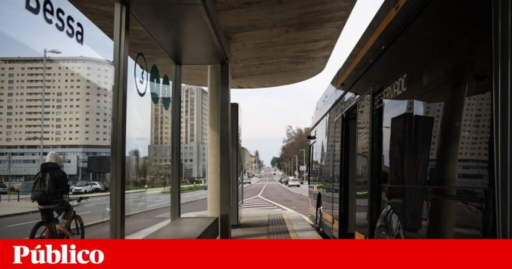 Road shared with cars on Avenida da Boavista worries bicycle users