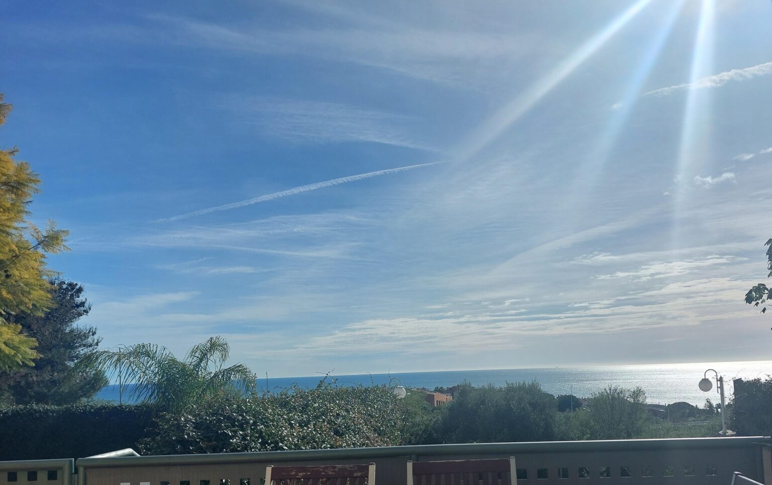 Views from my kitchen