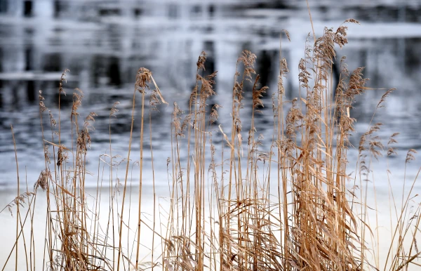 Meteorologists have provided the weather forecast for Sunday in Latvia Meteorologists have provided the weather forecast for Sunday in Latvia