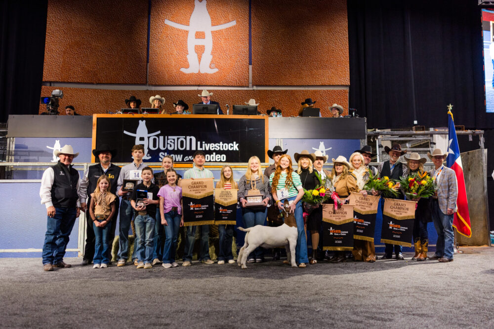 Houston Rodeo Auction