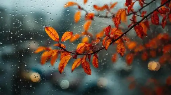Occasional rain is expected | Radar Armenia