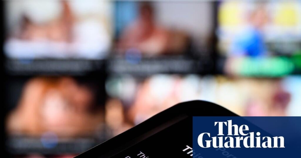 Australia’s pornography age-verification: a victory for advocates or a gateway to ‘darker corners of the internet’?