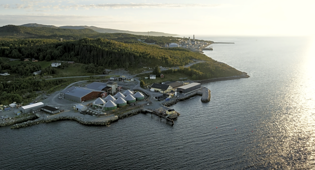 Ode acquires Lumarine to expand cod juvenile capacity in Norway