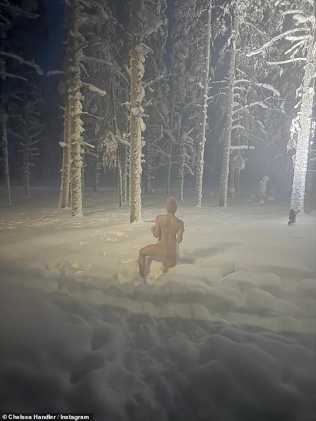 If the hot new romance already wasn't enough, her followers certainly raised their eyebrows as there was a snap of Handler completely naked in the snow