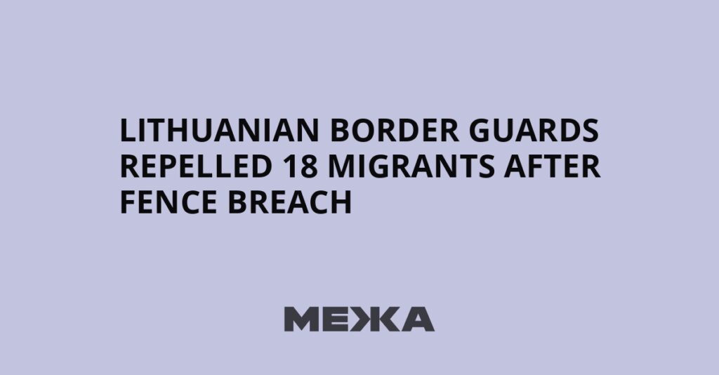 Lithuanian border guards repelled 18 migrants after fence breach | Ukraine news Lithuanian border guards repelled 18 migrants after fence breach | Ukraine news